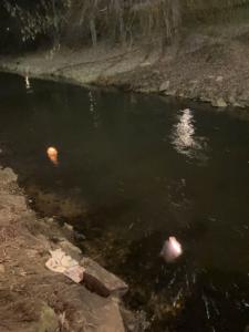 WhatsApp Image 2025-12-25 at 23.05.38-2.jpeg